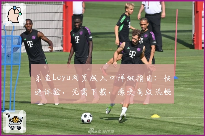 乐鱼Leyu网页版入口详细指南：快速体验，无需下载，感受高效流畅操作魅力