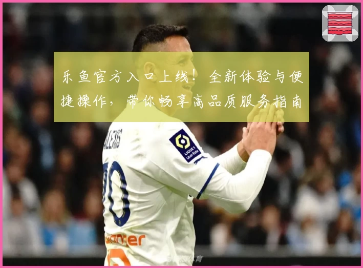 乐鱼官方入口上线！全新体验与便捷操作，带你畅享高品质服务指南